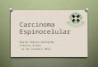 Carcinoma Espinocelular