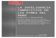 La Inteligencia Competitiva en Las Pymes Del Peru