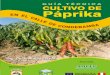 Manual Técnico Cultivo de Páprika en Valle Interandino