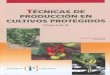 Livro técnicas de produção em cultivos protegido II