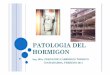 I. Patologia Del Hormigon - Ing. Cabrerizo