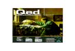 Revista QED Volumen 1