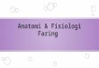 Anatomi & Fisiologi Faring