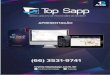 Apresentação Sistema - TopSapp 2013.pdf