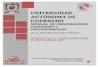 Manual de Organizacion y Funciones Administracion Central UAGro