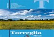 Torreglia News