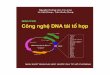 Cong Nghe Dna Tai to Hop 9568