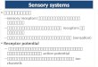 2913 Sensory Systems