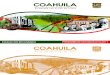 Programa Coahuila 2010-2011