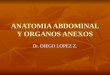 Anatomia Abdominal y Organos Anexos
