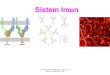 PDF.sistem Imun