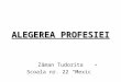 -ALEGEREA-PROFESIEI-educatie tehnologica