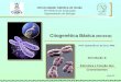 Citogenética básica 01 - Introdução à Citogenética