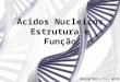 Acidos Nucleicos - Bioquimica - Ciencias Biologicas