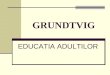 Grundtvig - Educatia Adultilor