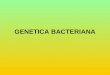 Curs 7 - Genetica_bacteriana
