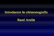 2 Introducere in Ultrasonografie R_ Arafat