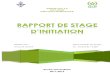 Rapport Stage OCP Group