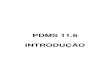 01 - PDMS 11.6 - Introdução