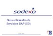 SAP Maestro Servicios v2