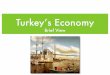 Turkey's Economic History