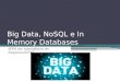 Big Data, NoSQL e In Memory Databases