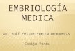 Embriología medica