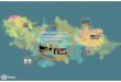 Yourprezi Mapa Conceptual - Edición Gráfica