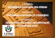 Upav cultura maya