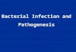 4  bacterial infection and pathogenesis