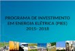 Programa de Investimento em Energia Elétrica