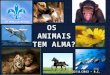 1- Os animais tem alma?