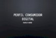 Perfil consumidor digital