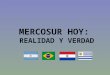 Mercosur realidad y verdad carmen guex