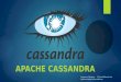 Cassandra Instalacion y Utilizacion