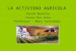 La actividad agrícola