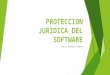 Proteccion juridica del software