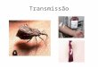 Transmissão- Trypanosoma Cruzi