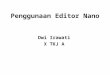 Editor Nano 2