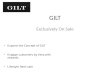 GILT Engagement Teardown--engagement with loyalty and novelty