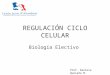 Regulación ciclo celular