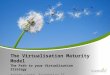 The Virtualisation Maturity Model - the path to your virtualisation strategy
