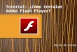 Tutorial: ¿Cómo instalar Adobe Flash Player?