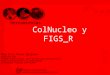 Presentación 6 - Herramientas ColNucleo y FIGS_R