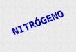 Nitrogeno (2010)