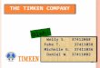 The Timken Company case study