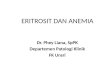 Pk - It 6,10 - Eritrosit, Anemia Dan Lanjutan - Phy