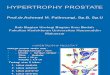 Hypertrophy Prostate