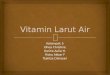 Kel. 5-Vitamin Larut Air