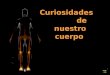 CuriosiDadEs Del Cuerpo Curiosidades del cuerpo Anatomia